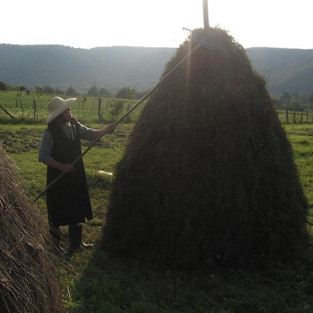 Pensiunea Irina Tilisca Bagian luar foto