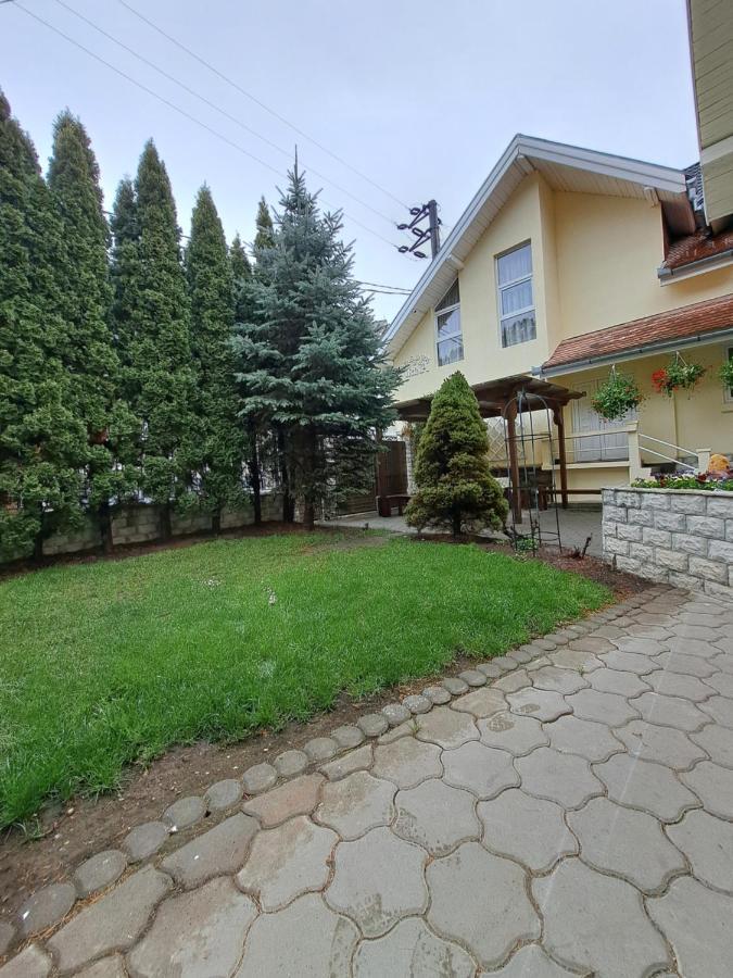 Pensiunea Irina Tilisca Bagian luar foto