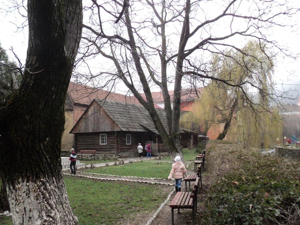 Pensiunea Irina Tilisca Bagian luar foto