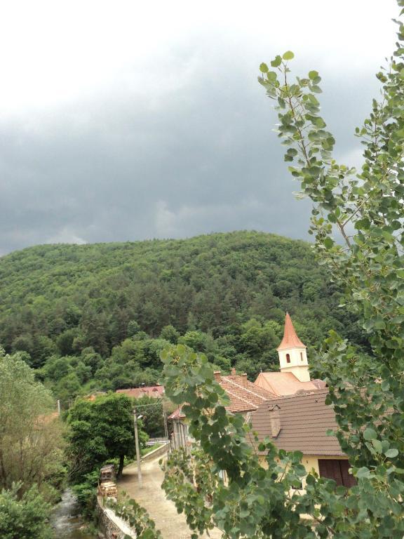 Pensiunea Irina Tilisca Bagian luar foto